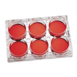 Reagent Microbiology Culture Media